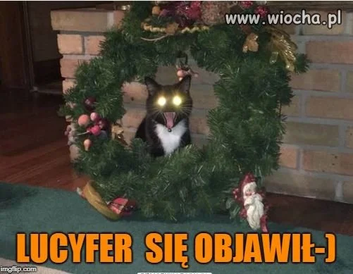Wesołych Świąt