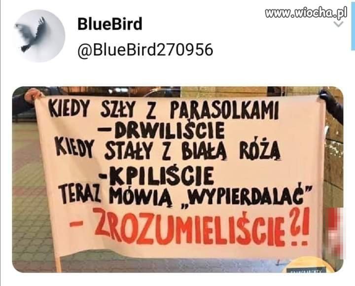 Zrozumieliście? 