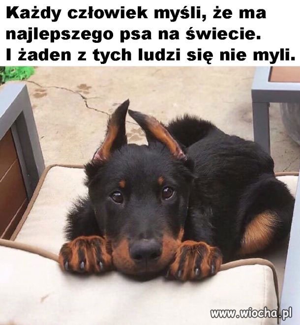 Mój najlepszy 