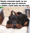 Mój najlepszy 