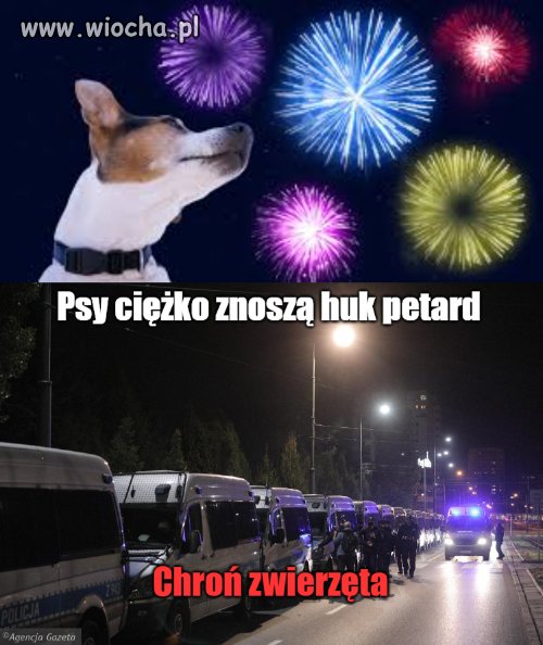 Chrońmy naszych pupili 