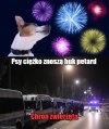 Chrońmy naszych pupili 