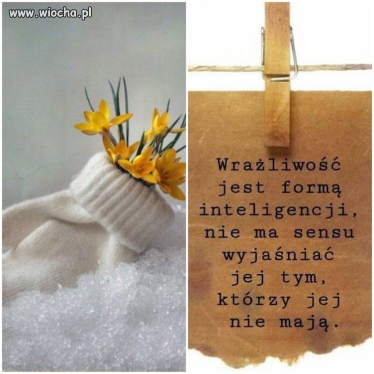 Co tu wyjaśniać ? 