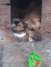 To jest przyjaźń
