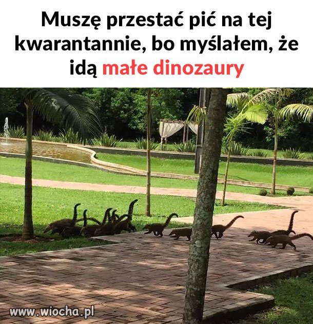Dinozaury 