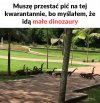 Dinozaury 