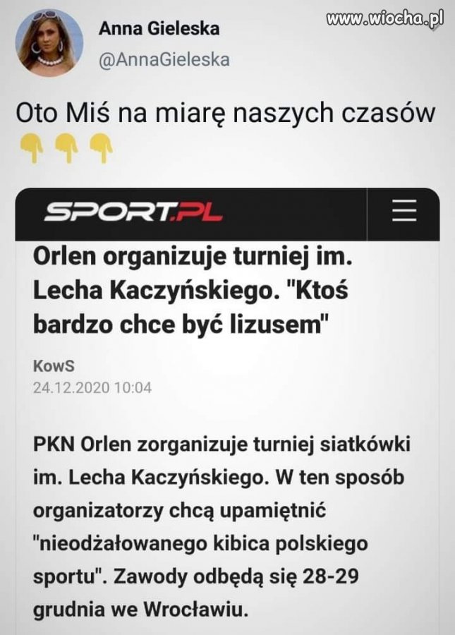 Bareja wiecznie żywy. 