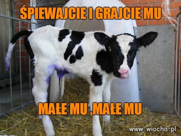 Kolędowo