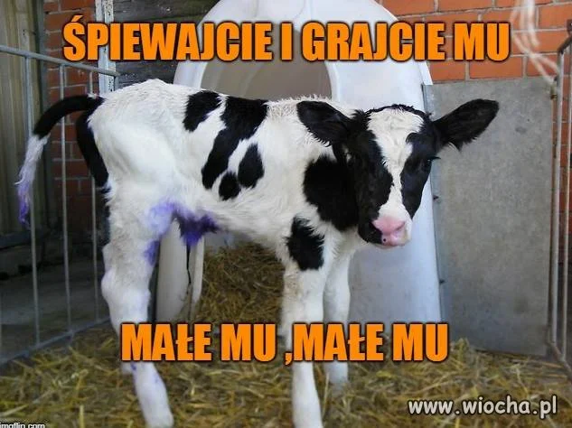 Kolędowo