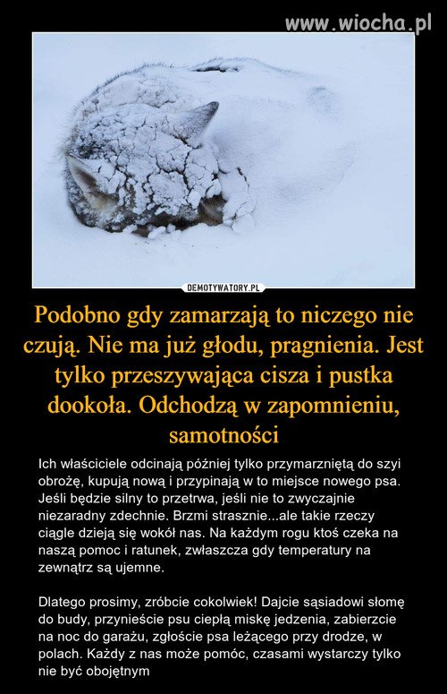 Proszę was tylko o jedno 