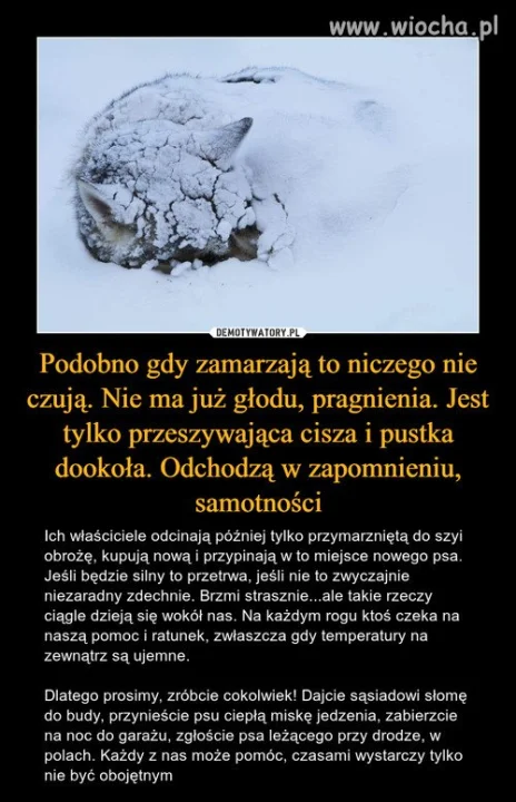Proszę was tylko o jedno 