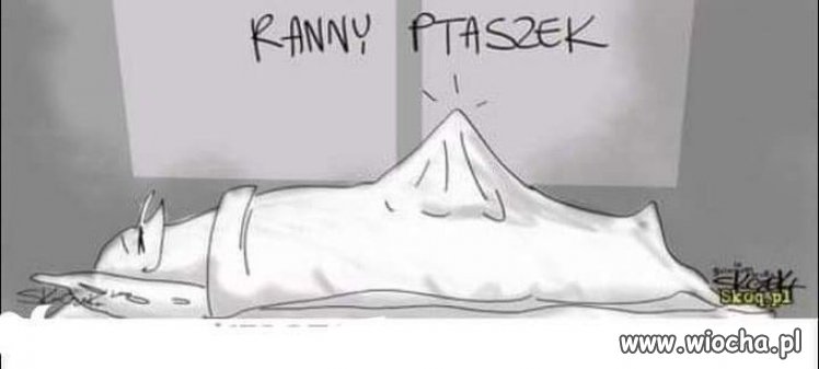Ptaszek...