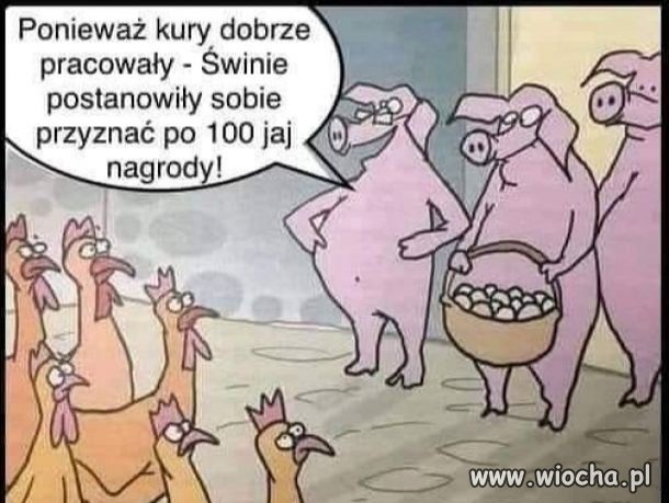 Polityczna rzeczywistość