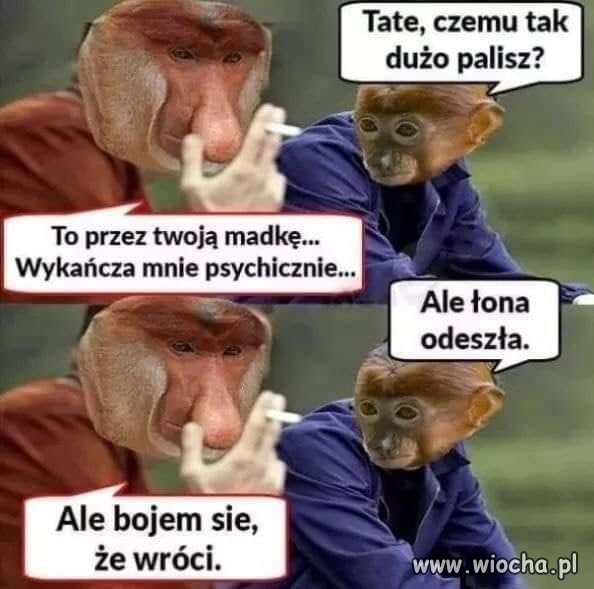 Załamany 