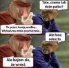 Załamany 