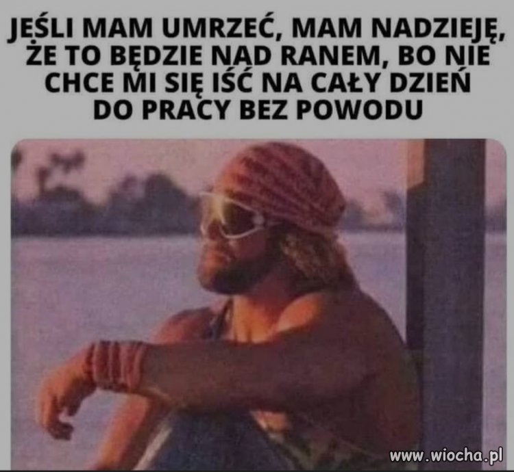 Koleś ma racje