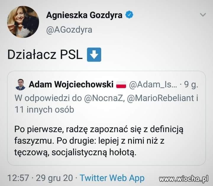 Działacz PSL