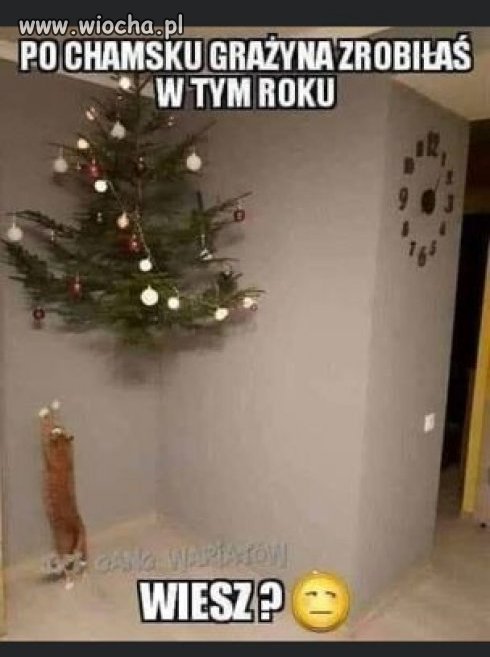 Chamska Grażyna...