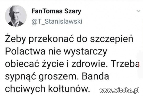 Tyle w temacie