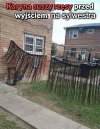 Przygotowania do sylwestra 