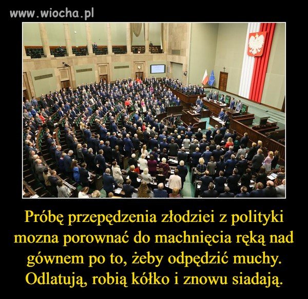 Próba przegonienia złodziei z polityki   