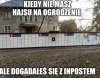 I jeszcze ci zapłacą