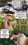 Nówka sztuka 