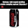Krótki opis 