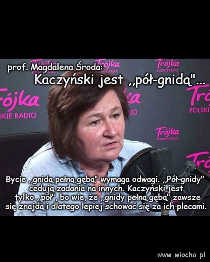 Pół - gnida 
