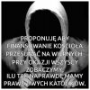 Taka propozycja ...
