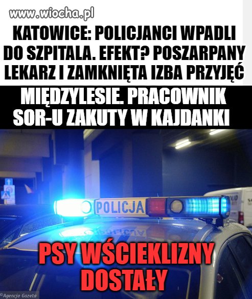 Szczepienia przeciw wściekliźnie 