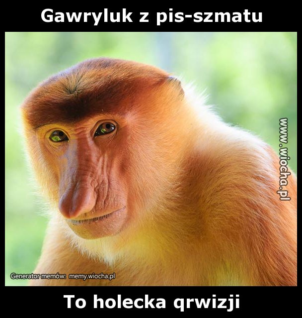 Gawryluk z pis-szmatu