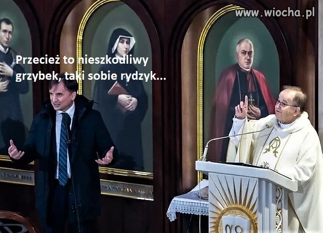 Bez tytułu.
