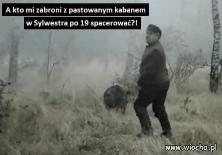 Tytuł zbędny
