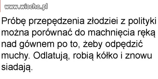 Polityka
