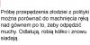 Polityka