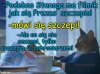 Doktorze, pogryzły mnie dwa psy!