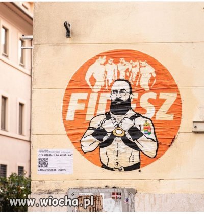 Nowe Logo Węgierskiej Partii 