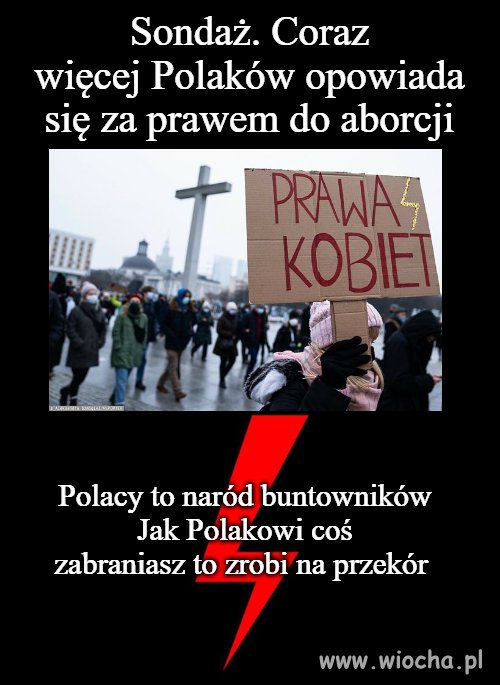 Przekorny Polak 