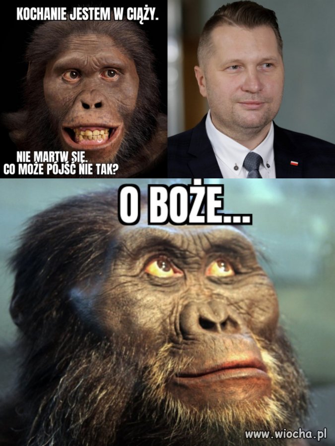 Ewolucja