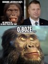 Ewolucja