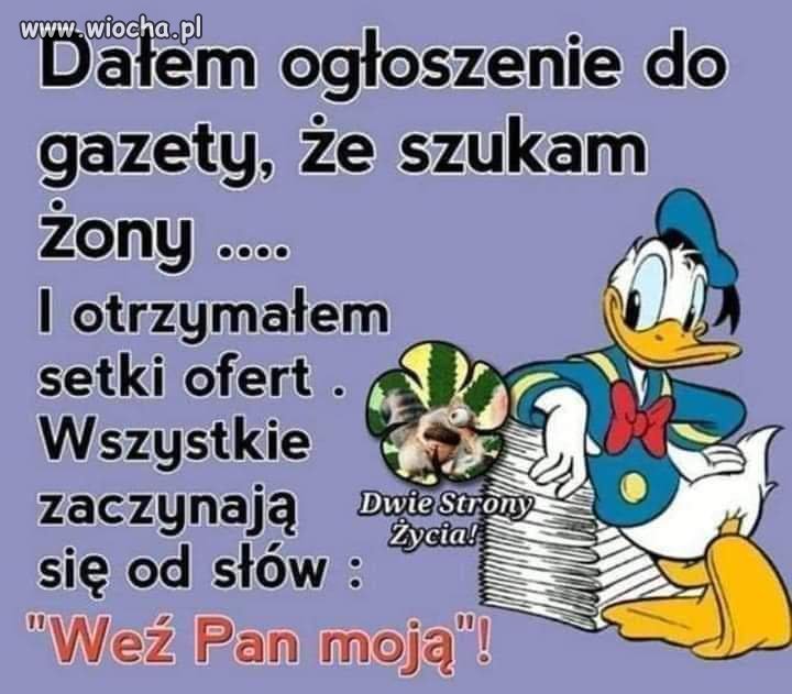 Ja swojej nie oddam
