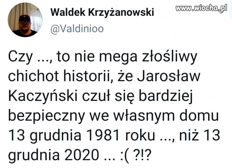 Ciekawe czy kot 