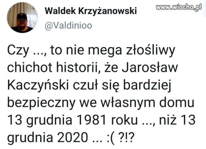 Ciekawe czy kot 