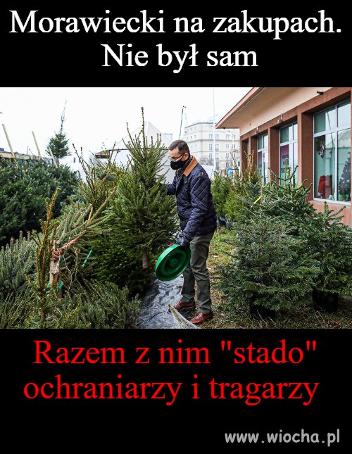 Na zakupach 
