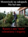 Na zakupach 