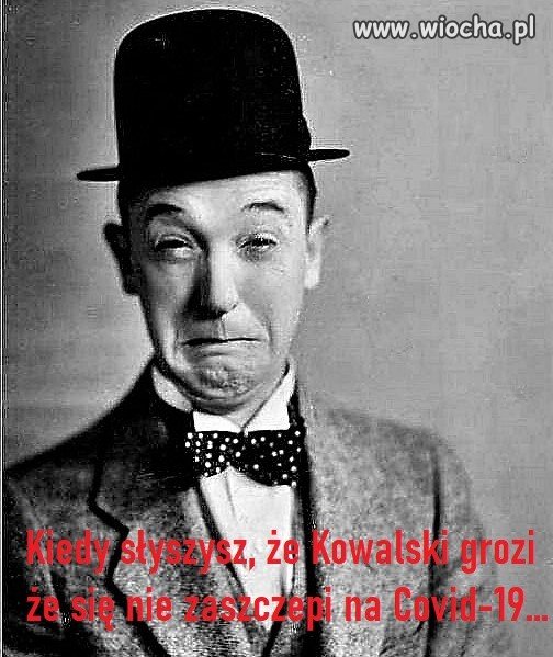 Miękiszon.