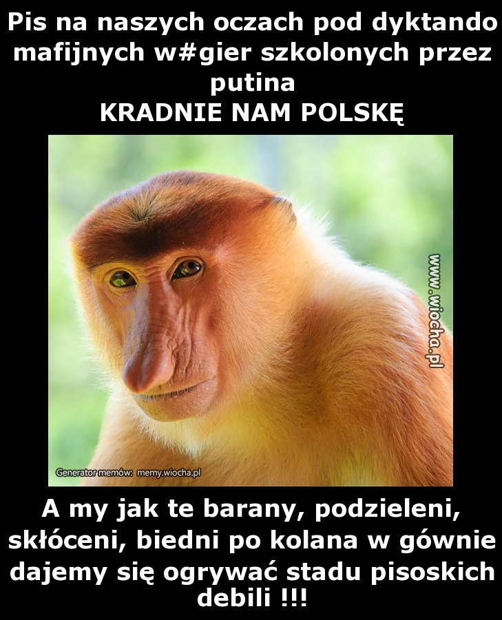 Pis na naszych oczach pod dyktando mafijnych
