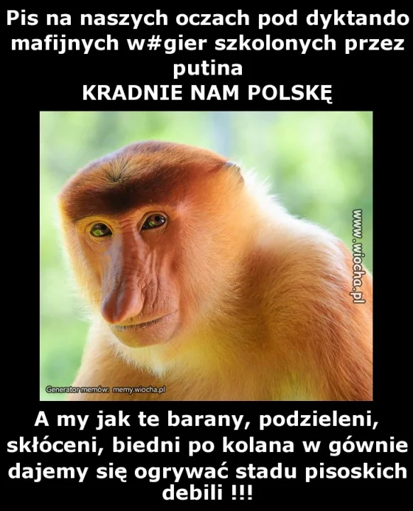 Pis na naszych oczach pod dyktando mafijnych