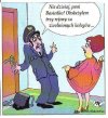 Zmęczenie materiału 